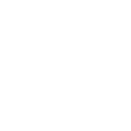 NTT Group